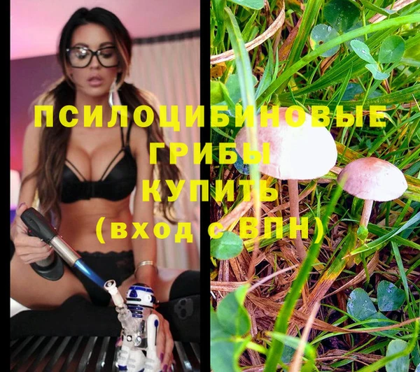 герыч Богданович